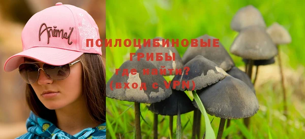 амф Медвежьегорск