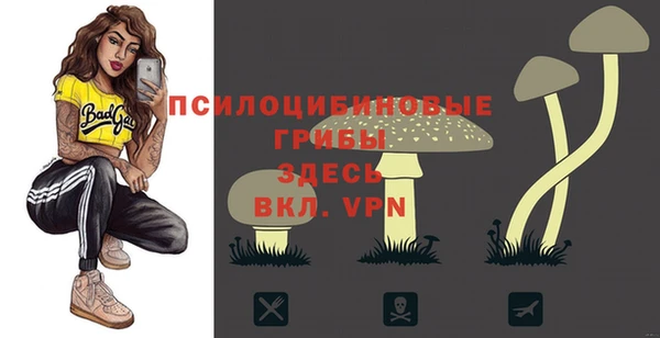 тгк Медногорск