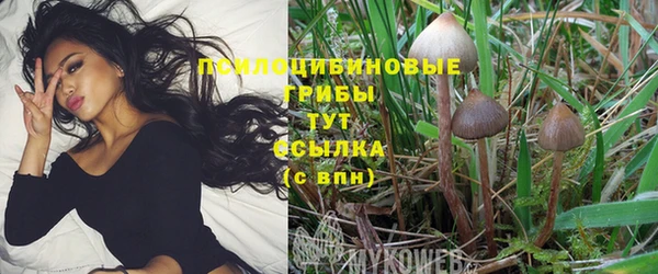 винт Мегион