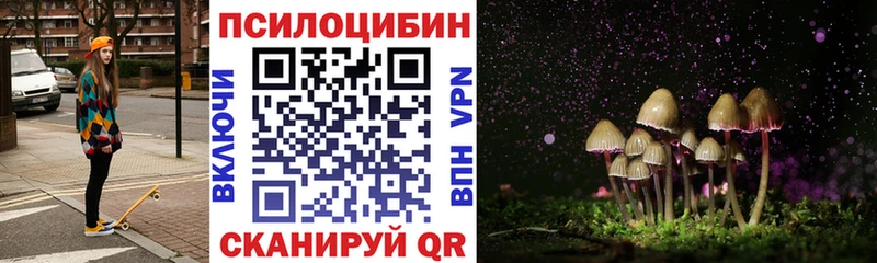 Галлюциногенные грибы Cubensis Люберцы