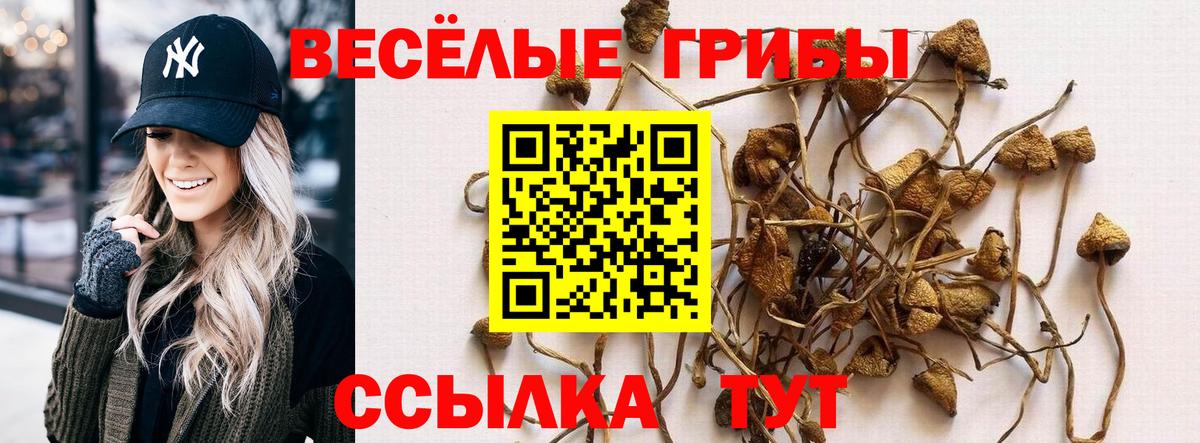 Галлюциногенные грибы Cubensis  Вход с VPN  Люберцы 
