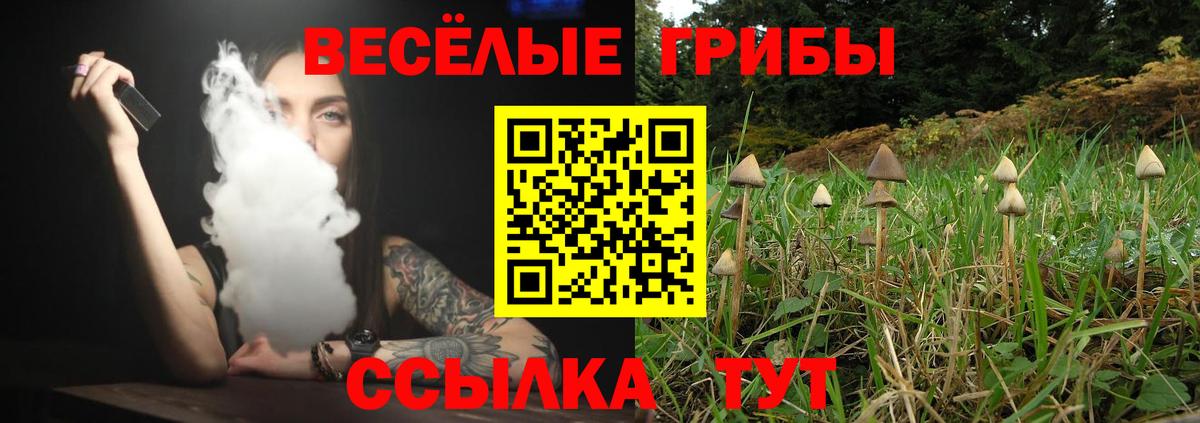 Галлюциногенные грибы прущие грибы Люберцы