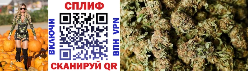 KRAKEN зеркало  Люберцы  Шишки марихуана тримм  наркотики 